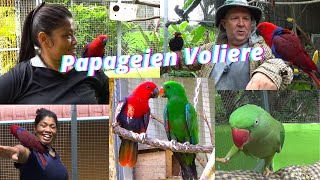 Neues aus der Papageien Voliere aus Thailand [upl. by Ivory388]