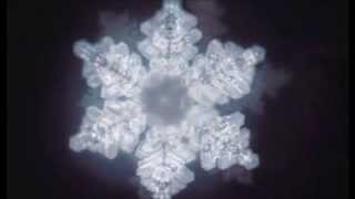 Masaru Emoto  Crystal Water Memory  By landcheyenne [upl. by Foushee990]