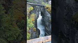 Scenic views of Maligne Canyon the deepest canyon in Jasper National Park [upl. by Strait432]