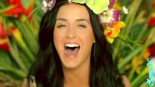 Hear Me Roar Katy Perry Mashup  8 Songs [upl. by Williams611]