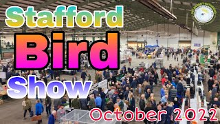 Stafford Bird Show October 2022 [upl. by Ultann]