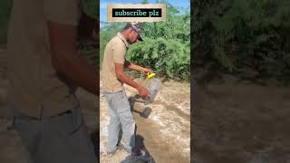 spectacle cobra release 🐍🐉shortsviral cobrarescue davao Jodhpur [upl. by Desimone]