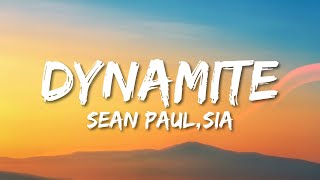 Sean Paul  Dynamite ft Sia Lyrics [upl. by Jerry569]