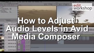 How to Adjust Audio Levels in Avid [upl. by Garber]