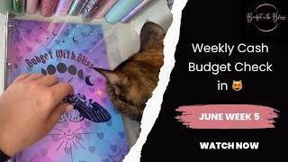 Cash Budget Weekly Check In  June Week 5  Cash Stuffing  Savings Challenges [upl. by Adonis]