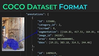 COCO Dataset Format  Complete Walkthrough [upl. by Ditmore]