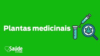 Saúde É o Tema  Plantas medicinais [upl. by Analise5]