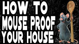 How to mouse proof your house [upl. by Euk69]