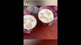 😱 கடைசி வரை பாருங்க  Dont Eat This Fruits  Fact Flow Tamil short facts [upl. by Ramberg]