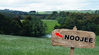 Yowie  Bigfoot Sighting Audio Report 31 near Noojee Victoria [upl. by Honna]