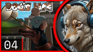 DOGS LIFE  PS2  UHD  Visitando las Casas y el Centro  04  Gameplay Español  Sin Comentarios [upl. by Ferdinande815]