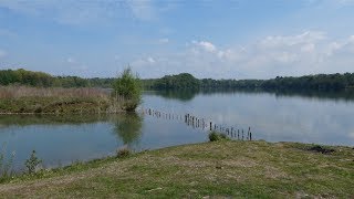 Freiburg Landwasser Opfinger See Mai 2017 Luftbilder in 4K [upl. by Shayna308]