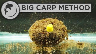 How To Fish The Method Feeder For BIG CARP [upl. by Raf]