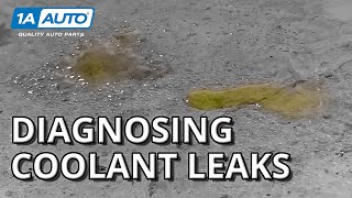 Found Puddles Under Your Car or Truck How to Diagnose Coolant Leaks [upl. by Dever]