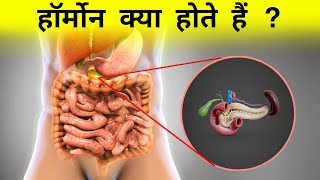 हॉर्मोन क्या होता हैं  types of hormones [upl. by Arnold]