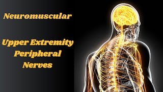 Upper Extremity Peripheral Nerve with NPTE NM Practice Question [upl. by Bussey579]