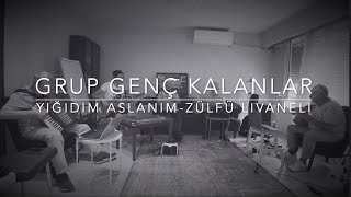 Grup Genç Kalanlar  Yiğidim Aslanım Zülfü Livaneli [upl. by Ecylla]