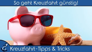 Kreuzfahrt Tipps und Tricks – So geht Kreuzfahrt günstig Unsere Top 5 zum preiswert Reisen Guide [upl. by Alihet289]