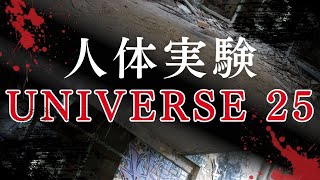 【恐怖】 UNIVERSE 25 とは一体何なのか？【ゆっくり解説】 [upl. by Eetak]