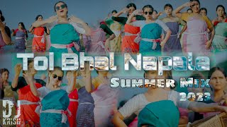 Toi Bhal Napale  Summer Mix  DJ Krish  Assamese New Dj Remix 2023 [upl. by Audris846]