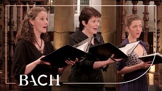 Bach  Cantata Herz und Mund und Tat und Leben BWV 147  Creed  Netherlands Bach Society [upl. by Ursula137]