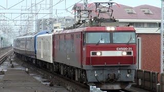 2024 ロイヤルエクスプレス甲種、北海道へ [upl. by Vanessa]