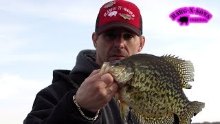 Catching Crappie Fishing Lake Delavan Wisconsin  HawgNSonsTV [upl. by Schnorr]