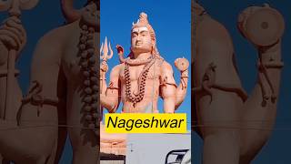 Nageshwar Jyotirlinga Darshan Guide 🛕 nageshwar nageshwartemple nageshwarjyotirlinga nageshwari [upl. by Llohcin]