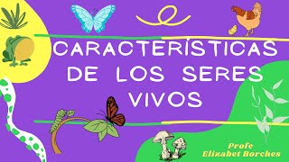 Características de los seres vivos [upl. by Yesrej]