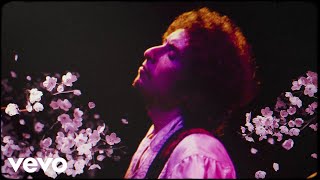 Bob Dylan  I Want You Live At Budokan Tokyo Feb 28 1978 [upl. by Anirrehs]