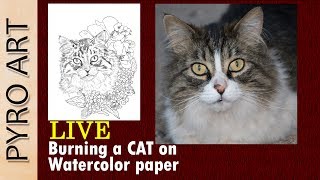 Pyrography LIVE Wood Burning a Cat on Watercolor Paper [upl. by Frear]