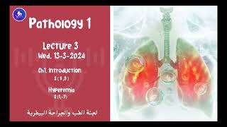 Pathology L3  133  Introduction s89  Hyperemia s17 [upl. by O'Dell359]