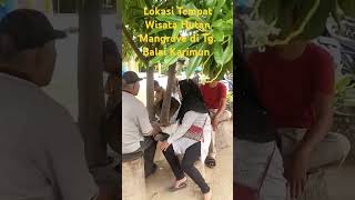 Tempat Wisata Viral Hutan Mangrove di Karimun Tahun 2024 [upl. by Nepean]