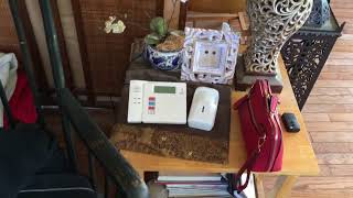 Security System Test 12 ADT Safewatch Pro 3000 Napco MVA1000 [upl. by Heyes581]