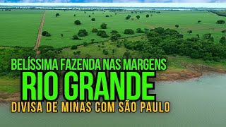 FAZENDA À VENDA DANDO RENDA NAS MARGENS DO RIO GRANDE DIVISA DE MG COM SP [upl. by Joanne]