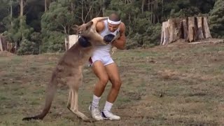 Kangaroo Fight Man [upl. by Riker149]