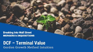 DCF  Terminal Value  Gordon Growth Method Intuition [upl. by Yves]