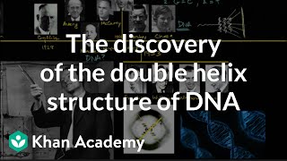 The discovery of the double helix structure of DNA [upl. by Tcideneb]