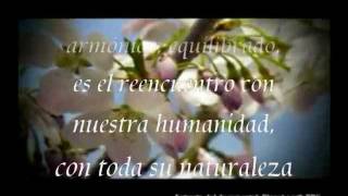 Enigma Return To Innocence Lyrics subtitulado  Retorno a la Inocencia [upl. by Chrisman]