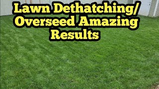 Prepared Lawn For Fall By Dethatching and Overseeding And These are the Results [upl. by Massiw139]