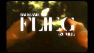 backland  Flieg Zu viel Official Video [upl. by Ahseenyt]