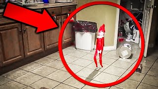 The Ultimate Elf on the Shelf Caught on Camera Compilation [upl. by Navek]