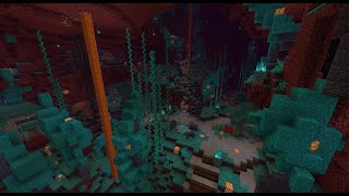 Minecraft 116 Nether build Warped Forest Piglin Village [upl. by Aenehs591]