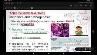 Lecture 1 part 1 cardiology  Medicineباطنية  طبالقادسية [upl. by Utica]