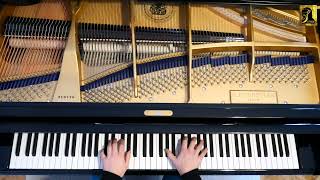 Mazurka cisMoll Chopin Op6 Nr2 CBechstein A228 [upl. by Kina]