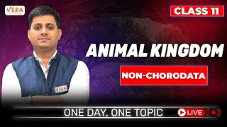 Nonchordata I  Animal Kingdom  class 11  Biology  One Day One Topic [upl. by Oicaro]