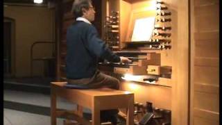 Josef Rheinberger Organ Sonata 7 op 127 in f minor 1st movt [upl. by Oravla]