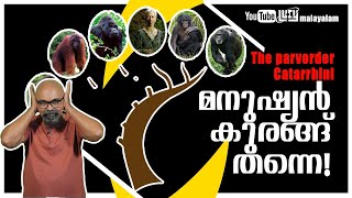 മനുഷ്യൻ കുരങ്ങ് തന്നെ  Evolution Malayalam  Lucy  Chandrasekhar R [upl. by Holbrook]