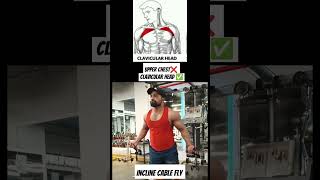 Upper Chest ❌ Clavicular Head ✅ chestexercises chestworkout chestday [upl. by Jessey]