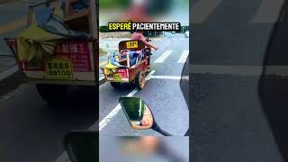 Perrito Desesperado en Carretera❤️‍🩹 [upl. by Hcnarb]